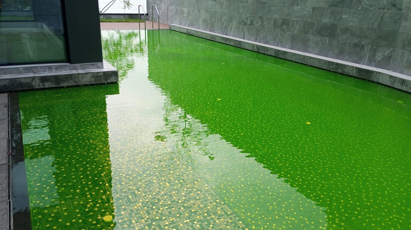 色水測試 - 服務圖片 2